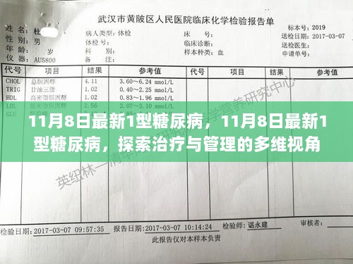 11月8日最新1型糖尿病，探索治疗与管理的多维视角