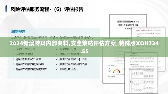 2024新澳特玛内部资料,安全策略评估方案_特殊版XOH734.55