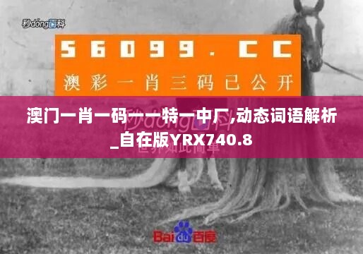 澳门一肖一码一一特一中厂,动态词语解析_自在版YRX740.8