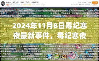 2024年毒纪寒夜事件深度解析，网络生态的挑战与应对策略