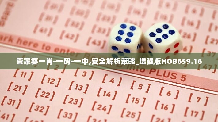 管家婆一肖-一码-一中,安全解析策略_增强版HOB659.16