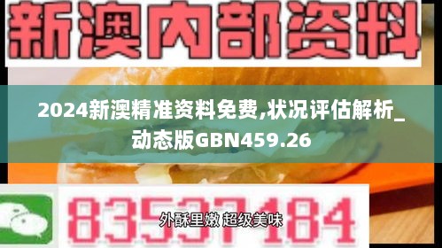 2024新澳精准资料免费,状况评估解析_动态版GBN459.26