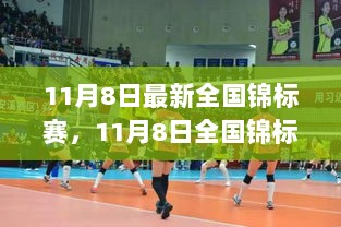 11月8日全国锦标赛全面解析与深度体验，最新赛事观察与体验报告