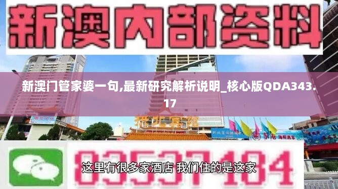 新澳门管家婆一句,最新研究解析说明_核心版QDA343.17