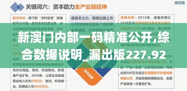 新澳门内部一码精准公开,综合数据说明_漏出版227.92