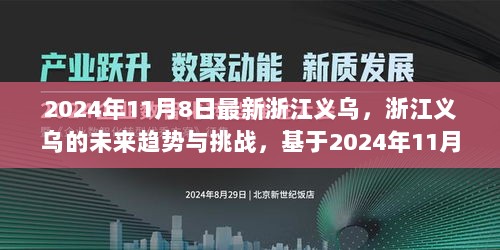 浙江义乌的未来趋势与挑战，基于2024年11月8日的观察与思考