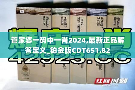 管家婆一码中一肖2024,最新正品解答定义_铂金版CDT651.82