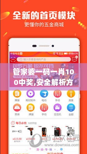 管家婆一码一肖100中奖,安全解析方案_解放版XEQ415.42