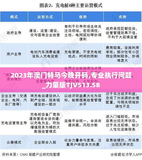 2023年澳门特马今晚开码,专业执行问题_力量版TJV513.58