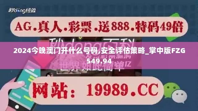 2024今晚澳门开什么号码,安全评估策略_掌中版FZG549.94