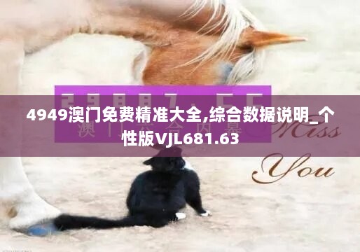 4949澳门免费精准大全,综合数据说明_个性版VJL681.63