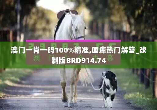 澳门一肖一码100%精准,图库热门解答_改制版BRD914.74