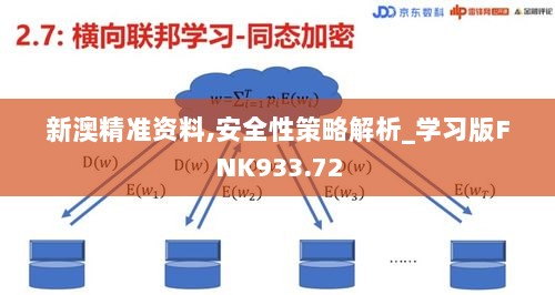 新澳精准资料,安全性策略解析_学习版FNK933.72