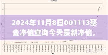 探秘001113基金背后的秘密小店，2024年11月8日基金净值之旅