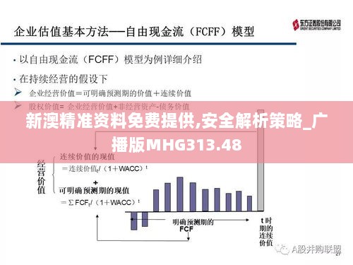 新澳精准资料免费提供,安全解析策略_广播版MHG313.48