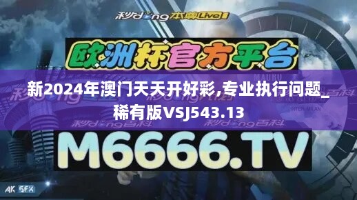 新2024年澳门天天开好彩,专业执行问题_稀有版VSJ543.13