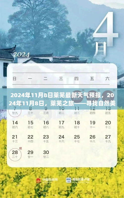 2024年11月8日莱芜天气预报及旅行探索自然美景之旅