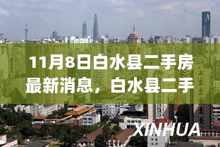 白水县二手房市场新篇章，11月8日的变化与自信成就