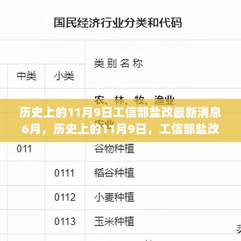 历史上的11月9日，工信部盐改新政揭秘及6月最新动态分析