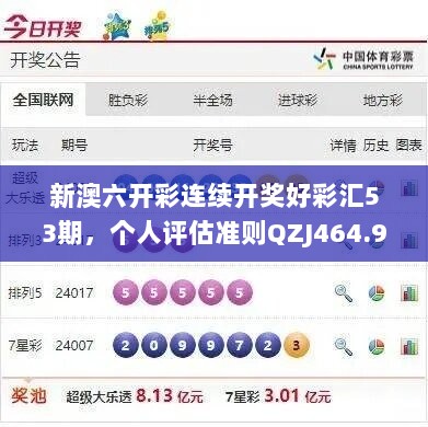 新澳六开彩连续开奖好彩汇53期，个人评估准则QZJ464.98版