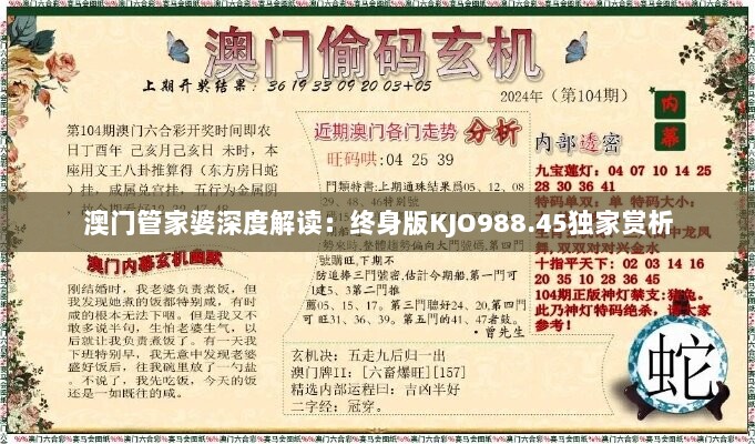 澳门管家婆深度解读：终身版KJO988.45独家赏析