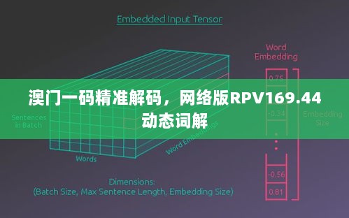 澳门一码精准解码，网络版RPV169.44动态词解