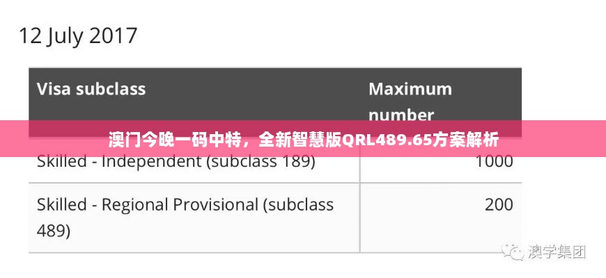 澳门今晚一码中特，全新智慧版QRL489.65方案解析