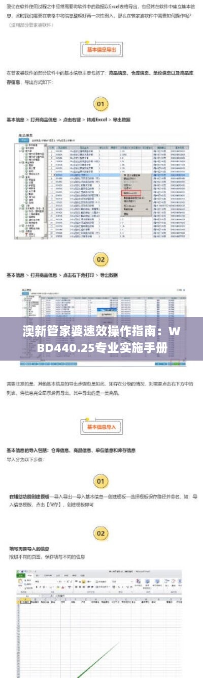 澳新管家婆速效操作指南：WBD440.25专业实施手册