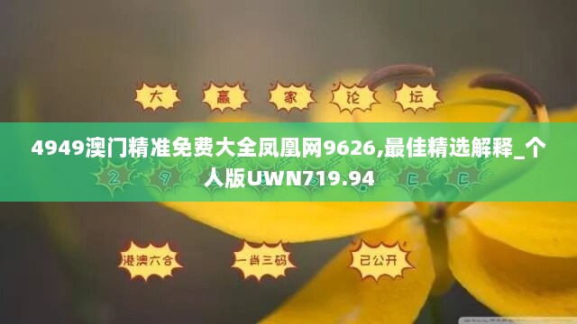 4949澳门精准免费大全凤凰网9626,最佳精选解释_个人版UWN719.94