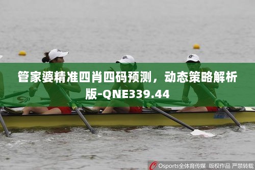 管家婆精准四肖四码预测，动态策略解析版-QNE339.44