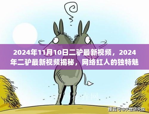 2024年二驴最新视频揭秘，网络红人的独特魅力与流行趋势