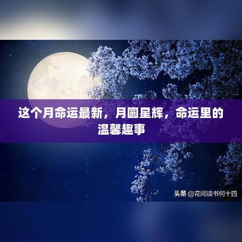 月圆星辉下的命运温馨趣事