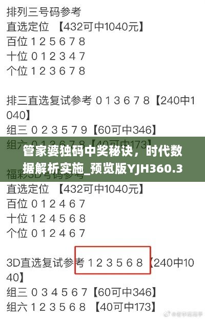 管家婆独码中奖秘诀，时代数据解析实施_预览版YJH360.32