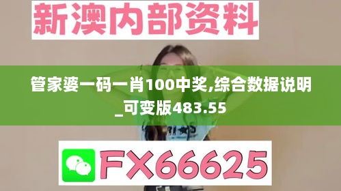 管家婆一码一肖100中奖,综合数据说明_可变版483.55