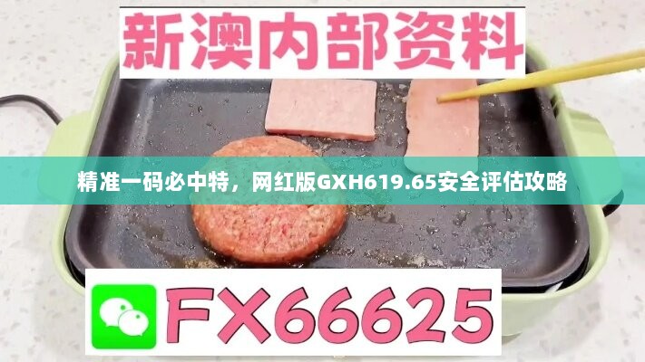 精准一码必中特，网红版GXH619.65安全评估攻略