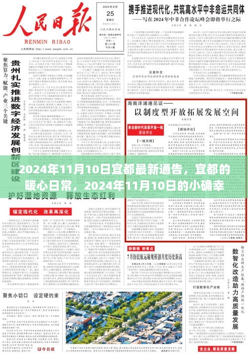 宜都2024年11月10日暖心日常通告与小确幸时刻