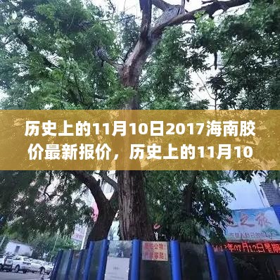 历史上的11月10日，2017海南胶价最新报价解析与采购指南