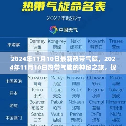 2024年11月10日热带气旋探秘之旅，小巷特色小店之谜