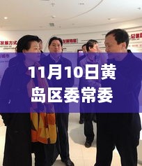 黄岛区委常委科技新篇章，11月10日最新排名及高科技产品体验之旅