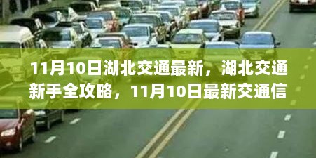 11月10日湖北交通新手全攻略，最新交通信息与驾驶技能学习指南