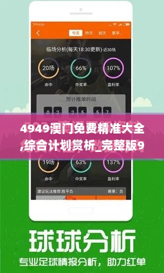 4949澳门免费精准大全,综合计划赏析_完整版925.73