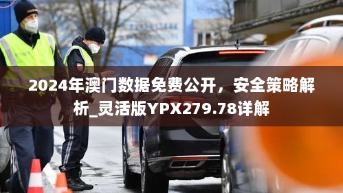 2024年澳门数据免费公开，安全策略解析_灵活版YPX279.78详解