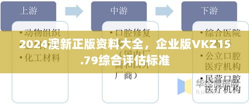 2024澳新正版资料大全，企业版VKZ15.79综合评估标准