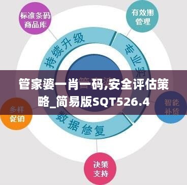 管家婆一肖一码,安全评估策略_简易版SQT526.4