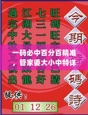 一码必中百分百精准，管家婆大小中特详析，特供版IQK151.66深度解答