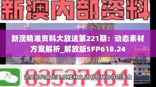 新澳精准资料大放送第221期：动态素材方案解析_解放版SFP618.24