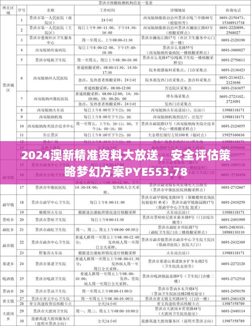 2024澳新精准资料大放送，安全评估策略梦幻方案PYE553.78