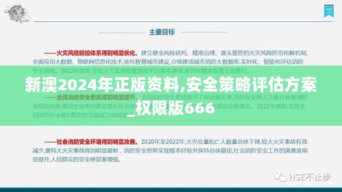 新澳2024年正版资料,安全策略评估方案_权限版666