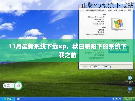 11月秋日暖阳下的XP系统下载之旅