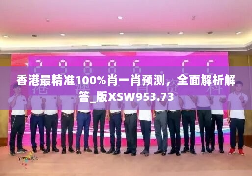 香港最精准100%肖一肖预测，全面解析解答_版XSW953.73